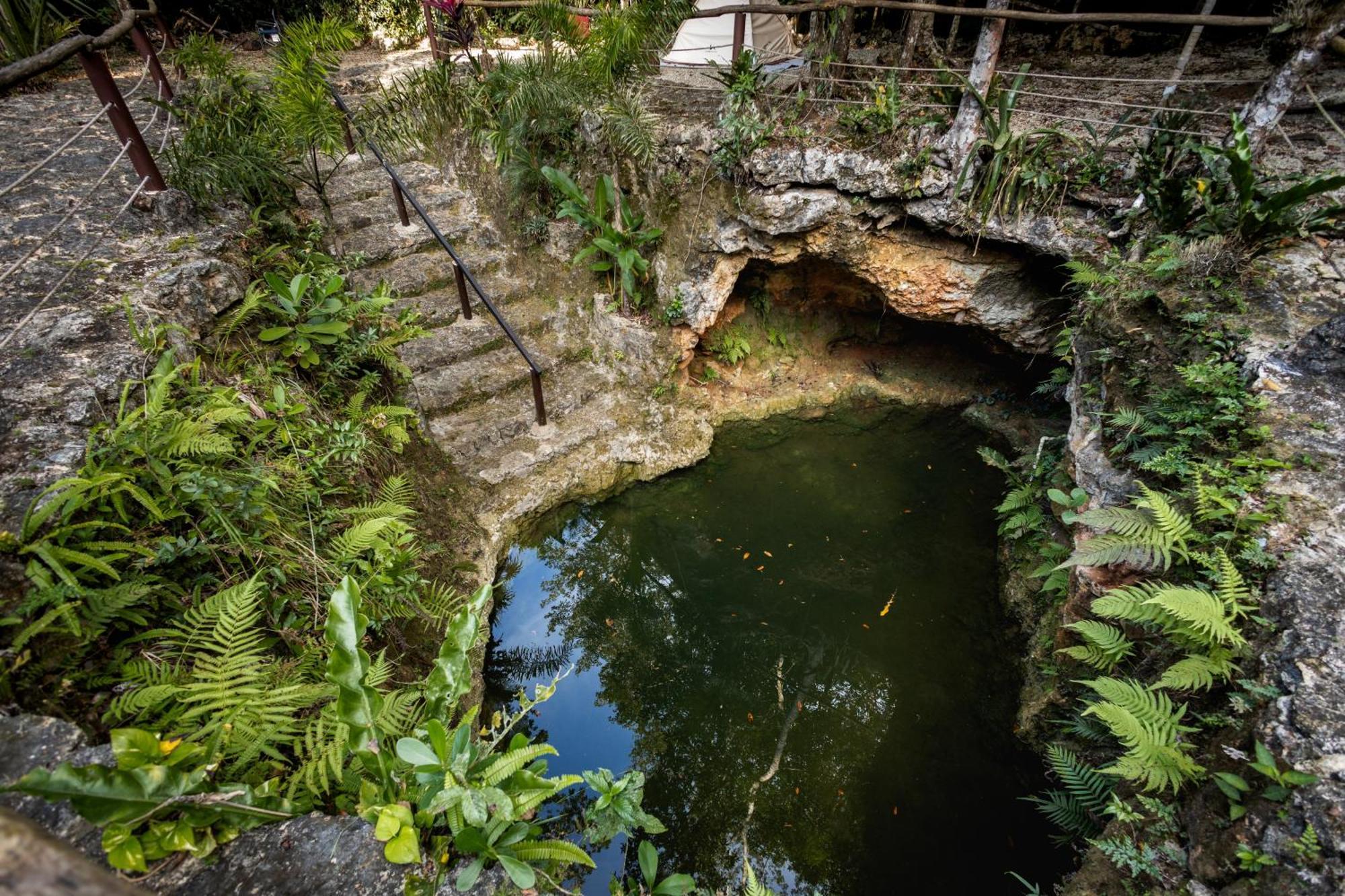 Cheel Lodge & Camping Puerto Morelos Exteriér fotografie