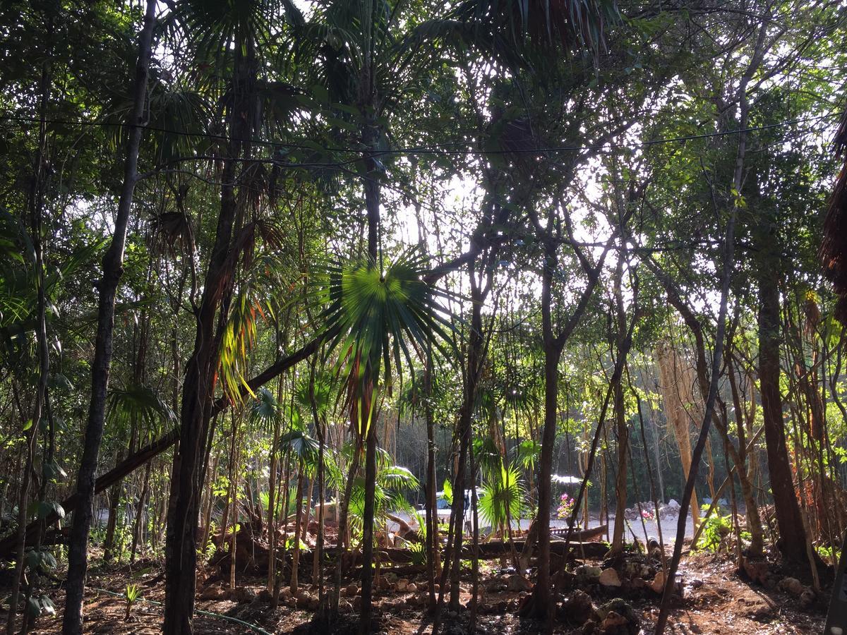 Cheel Lodge & Camping Puerto Morelos Exteriér fotografie