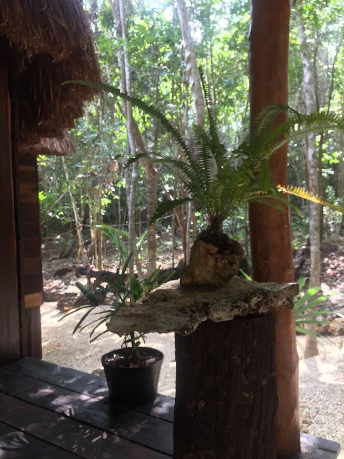 Cheel Lodge & Camping Puerto Morelos Exteriér fotografie