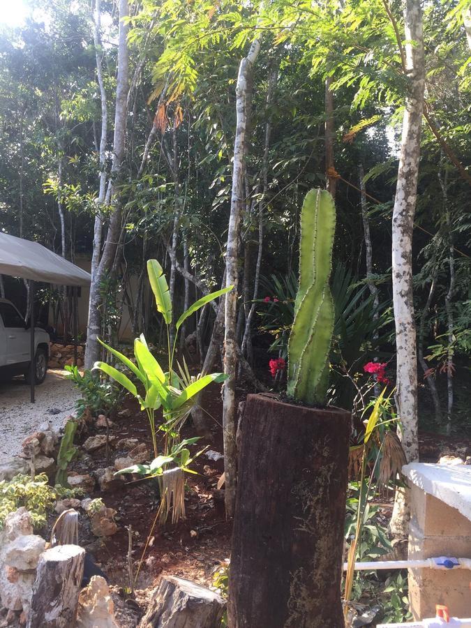 Cheel Lodge & Camping Puerto Morelos Exteriér fotografie