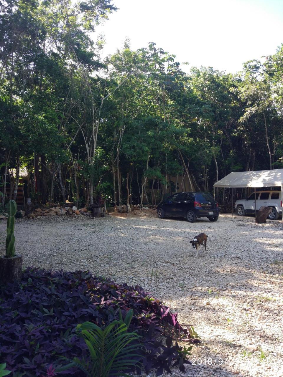 Cheel Lodge & Camping Puerto Morelos Exteriér fotografie